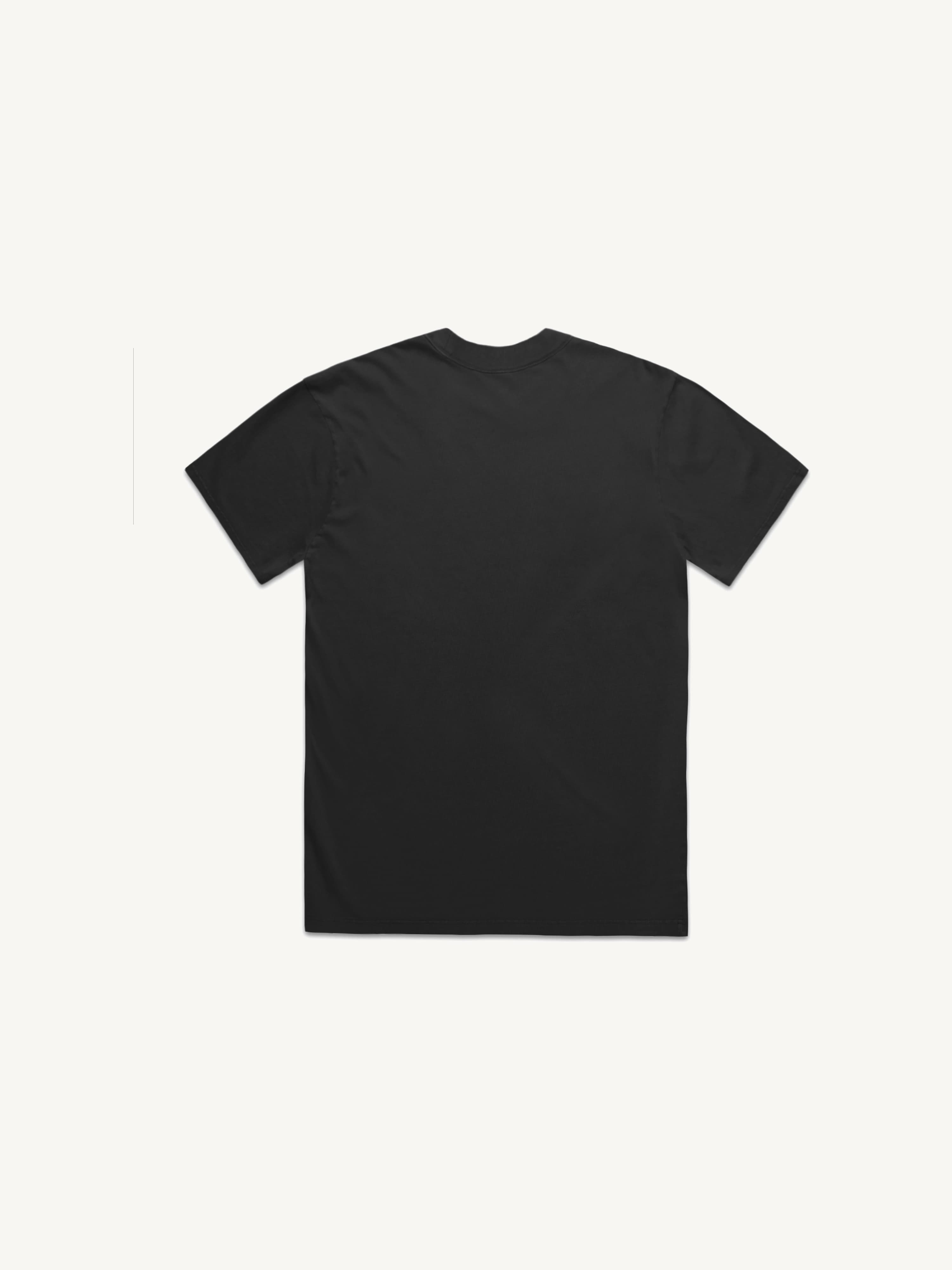 Heavy Faded Tee view 2